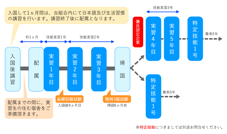 入国後の流れ