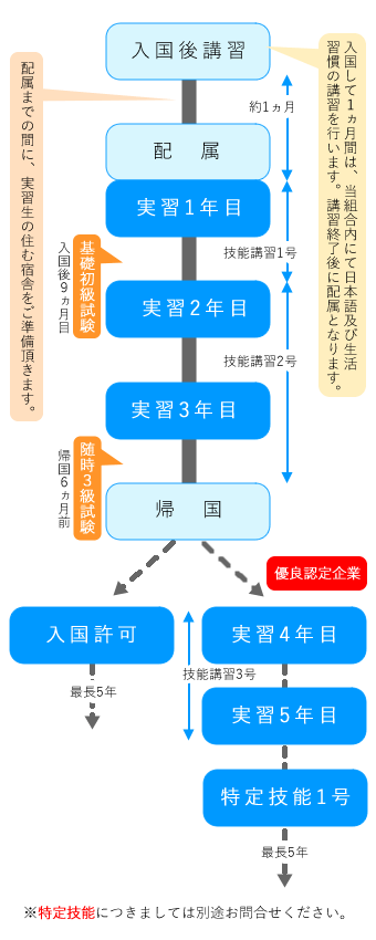 入国後の流れ