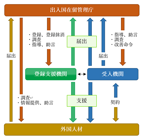 受け入れ機関、登録支援機関、出入国在留管理庁